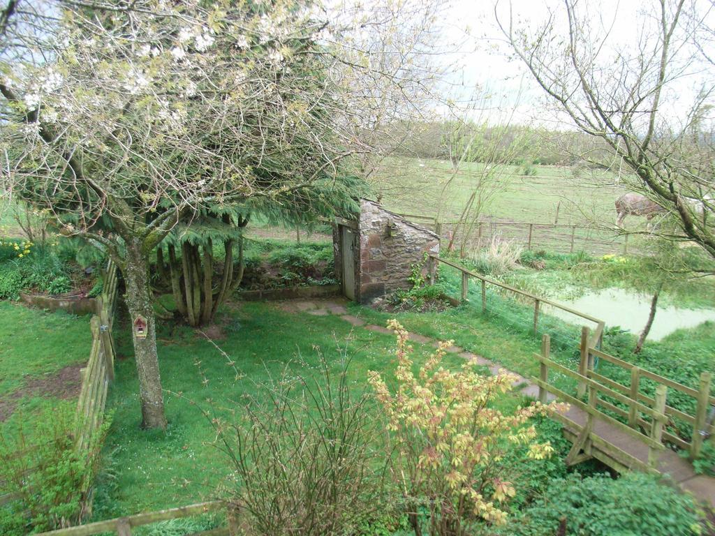 Wallace Lane Farm Westward Exteriör bild