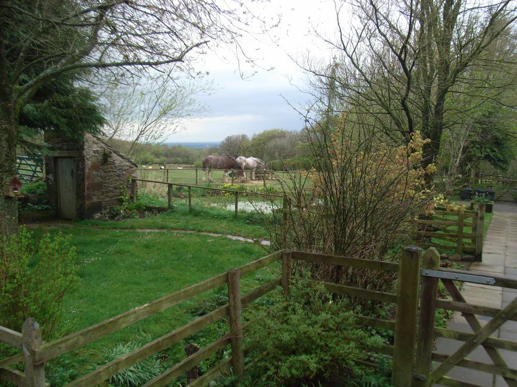 Wallace Lane Farm Westward Exteriör bild