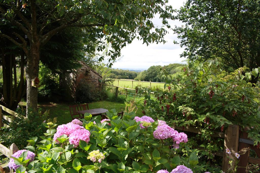 Wallace Lane Farm Westward Exteriör bild