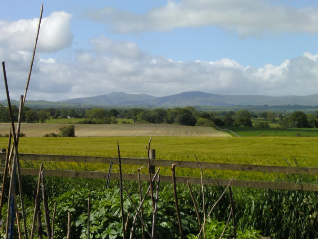 Wallace Lane Farm Westward Exteriör bild