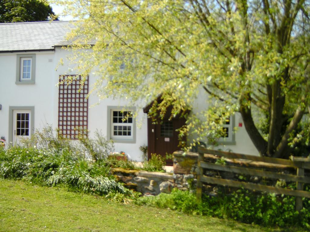 Wallace Lane Farm Westward Exteriör bild