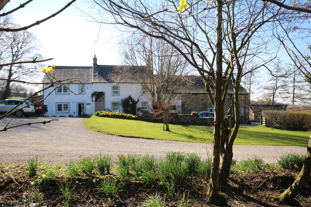 Wallace Lane Farm Westward Exteriör bild