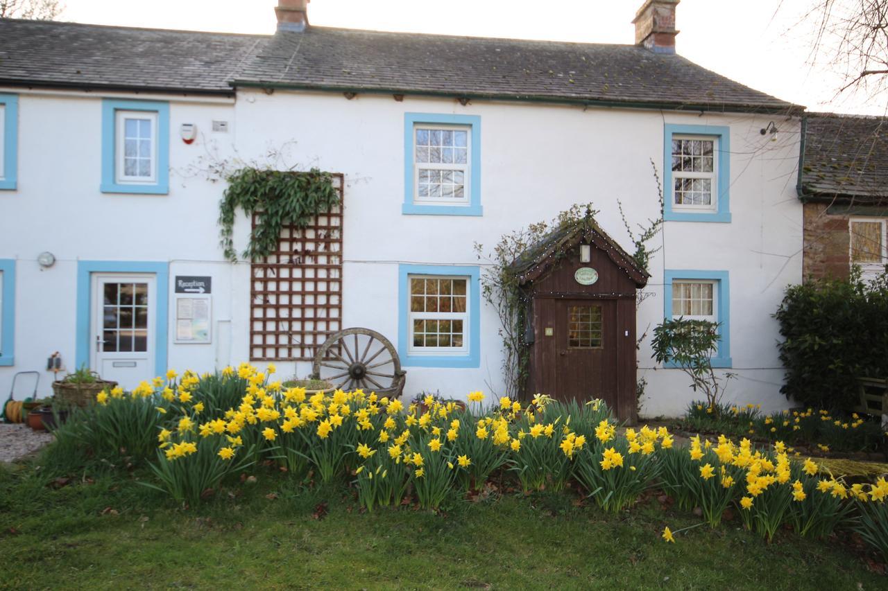 Wallace Lane Farm Westward Exteriör bild