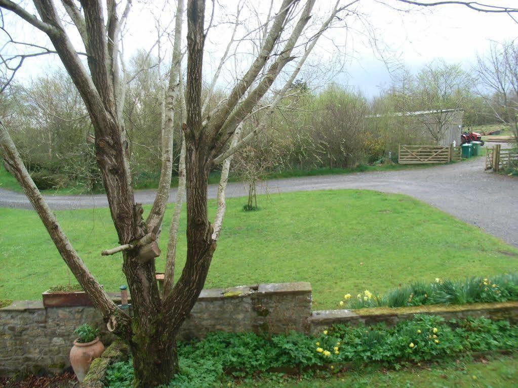 Wallace Lane Farm Westward Exteriör bild